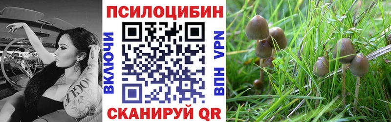 kraken как зайти  Струнино  Галлюциногенные грибы мицелий 