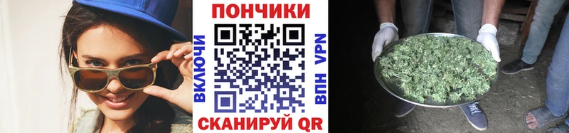 Канабис ГИДРОПОН  что такое наркотик  мориарти клад  Струнино 